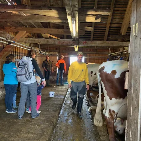 Daire Und Hauserhof Nassfeld Schlanitzen