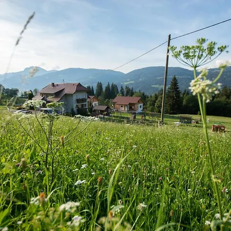Apartman Und Hauserhof Nassfeld *