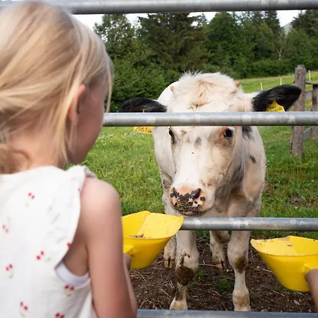 Und Hauserhof Nassfeld * Schlanitzen